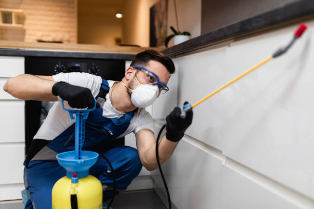 Best Best Pest Control Companies  in Beloit, OH