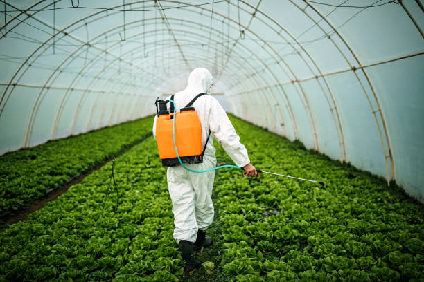 Best Affordable Pest Control Services  in Beloit, OH